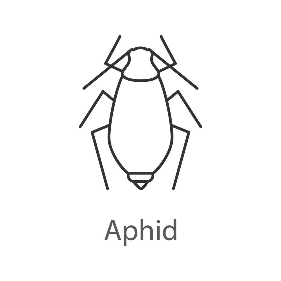 Aphid linear icon. Insect pest. Plant lice. Thin line illustration. Contour symbol. Vector isolated outline drawing