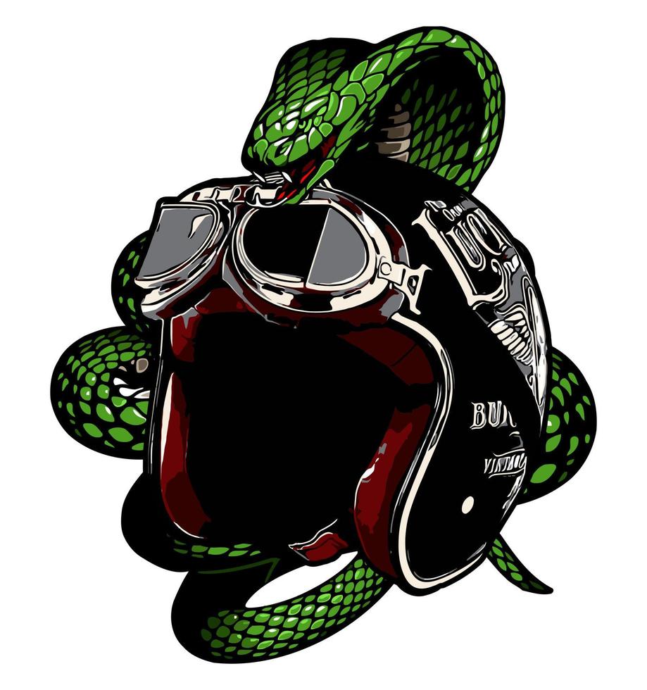 helmet and snake vector