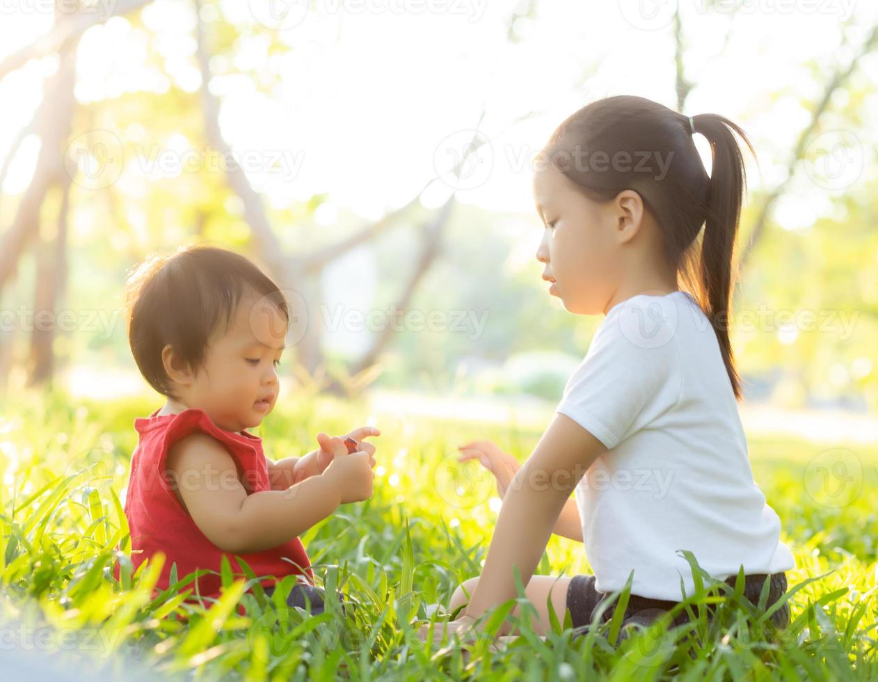 Beautiful young asian kid sitting playing in summer in the park with enjoy and cheerful on green grass, children activity with relax and happiness together on meadow, family and holiday concept. photo