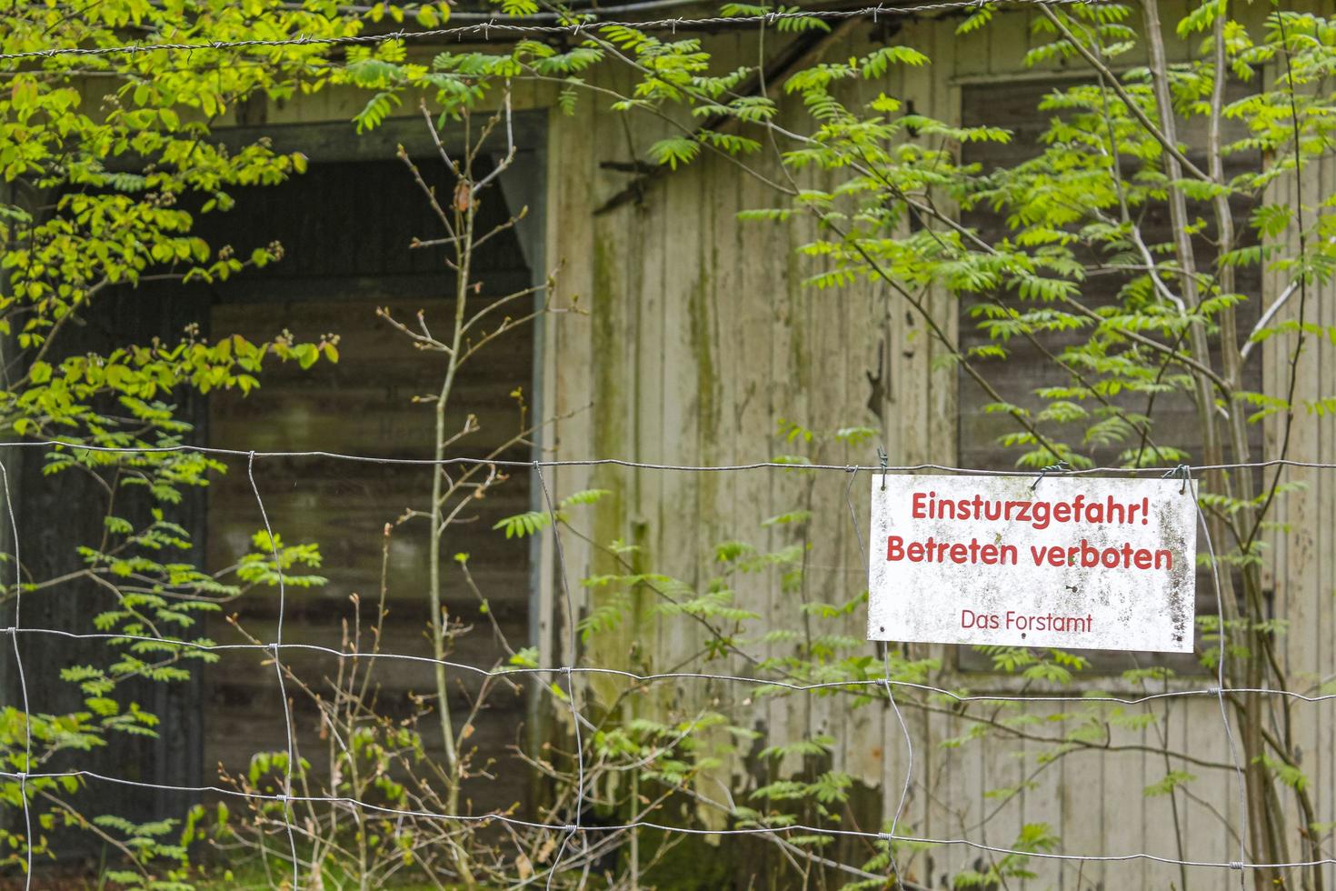 drangstedt baja sajonia alemania 2010 casa antigua rota destruida en el bosque alemania. foto