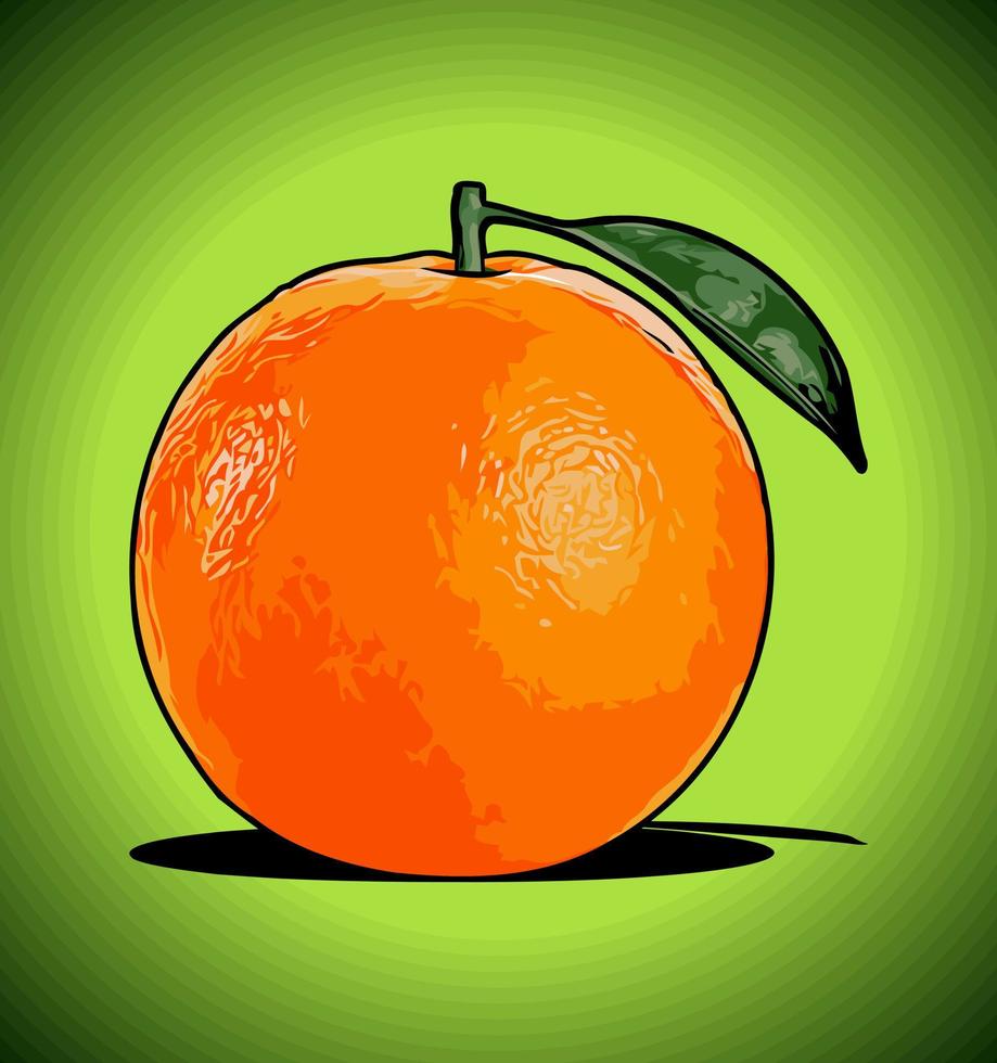 fruta naranja con hojas vector