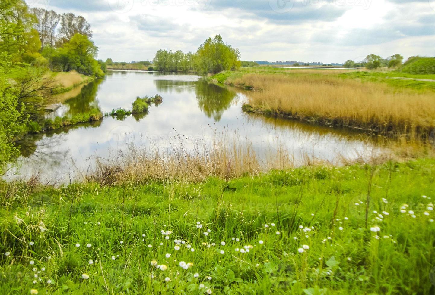 Natural panorama view with moor water coast trees forest Germany. photo