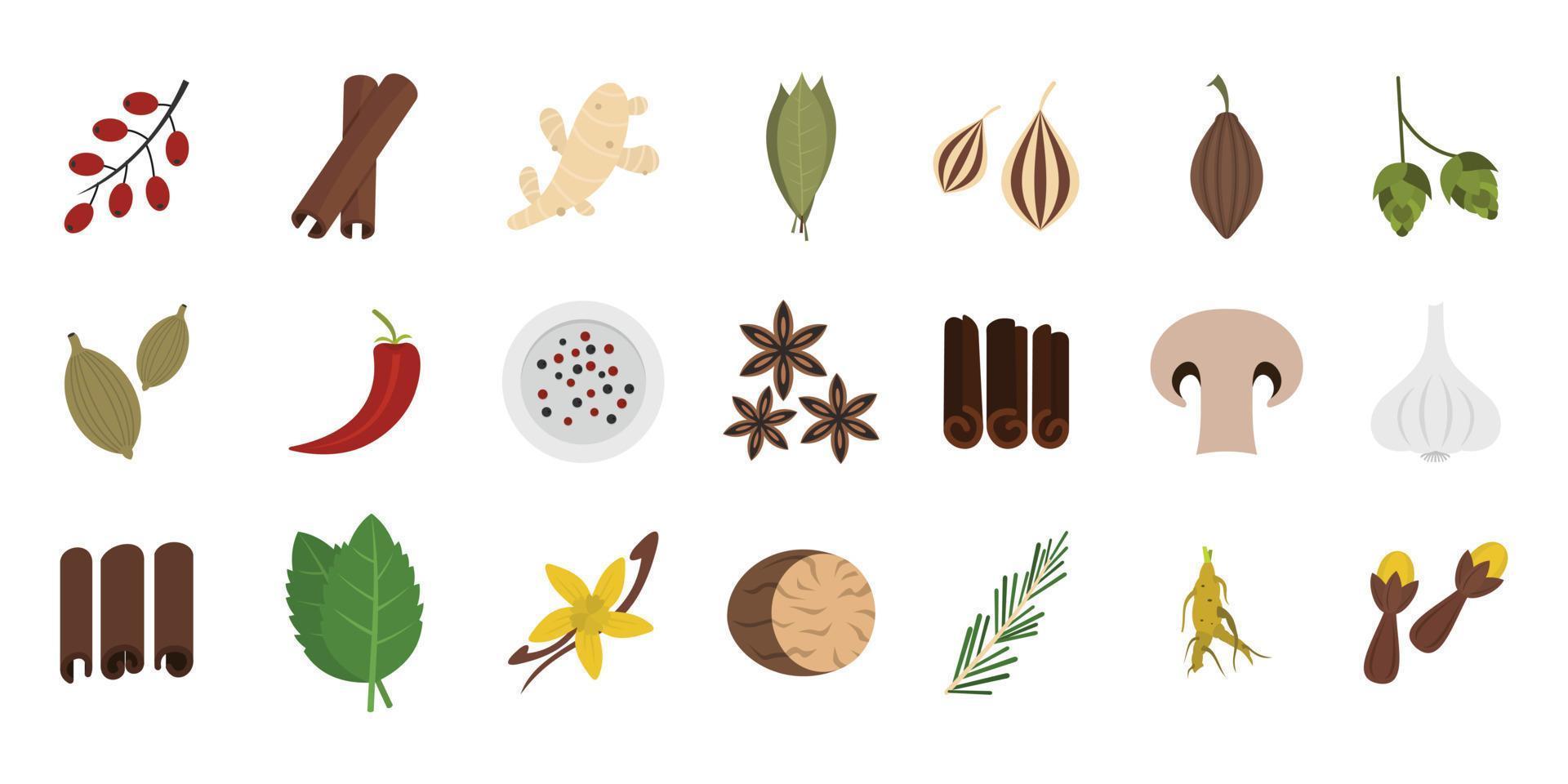 Spices icon set, flat style vector