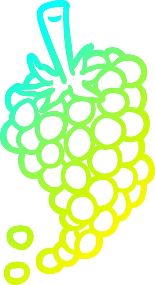 cold gradient line drawing bunch of grapes vector