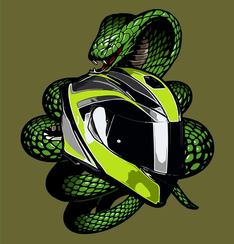 Helmet and snake vector