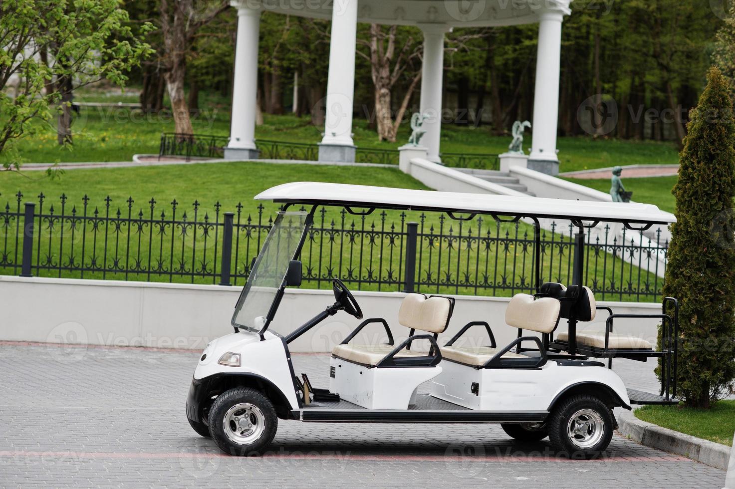 Photo of a tiny golf car standing in the yard.