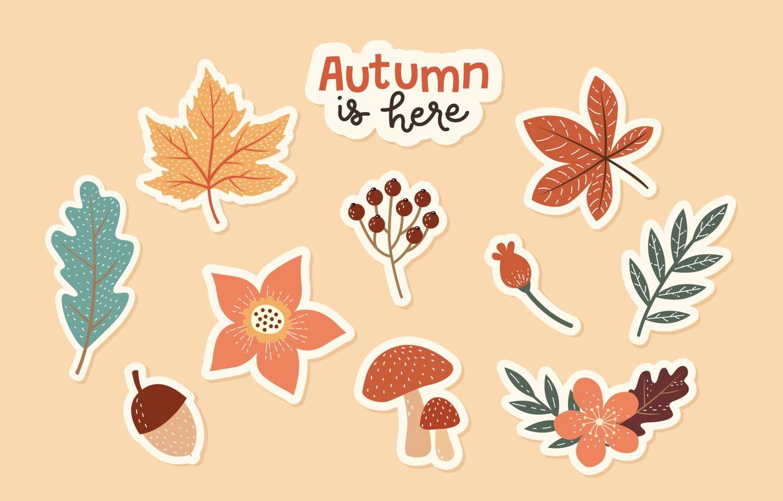 colección de pegatinas florales de otoño vector