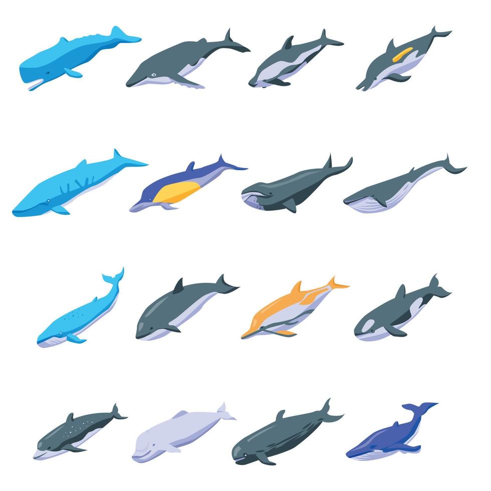 Whale icons set, isometric style vector