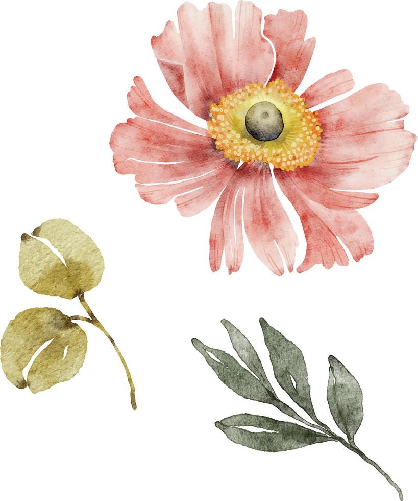 set of watercolor illustrations pink flower and green leaves on a white background. vector