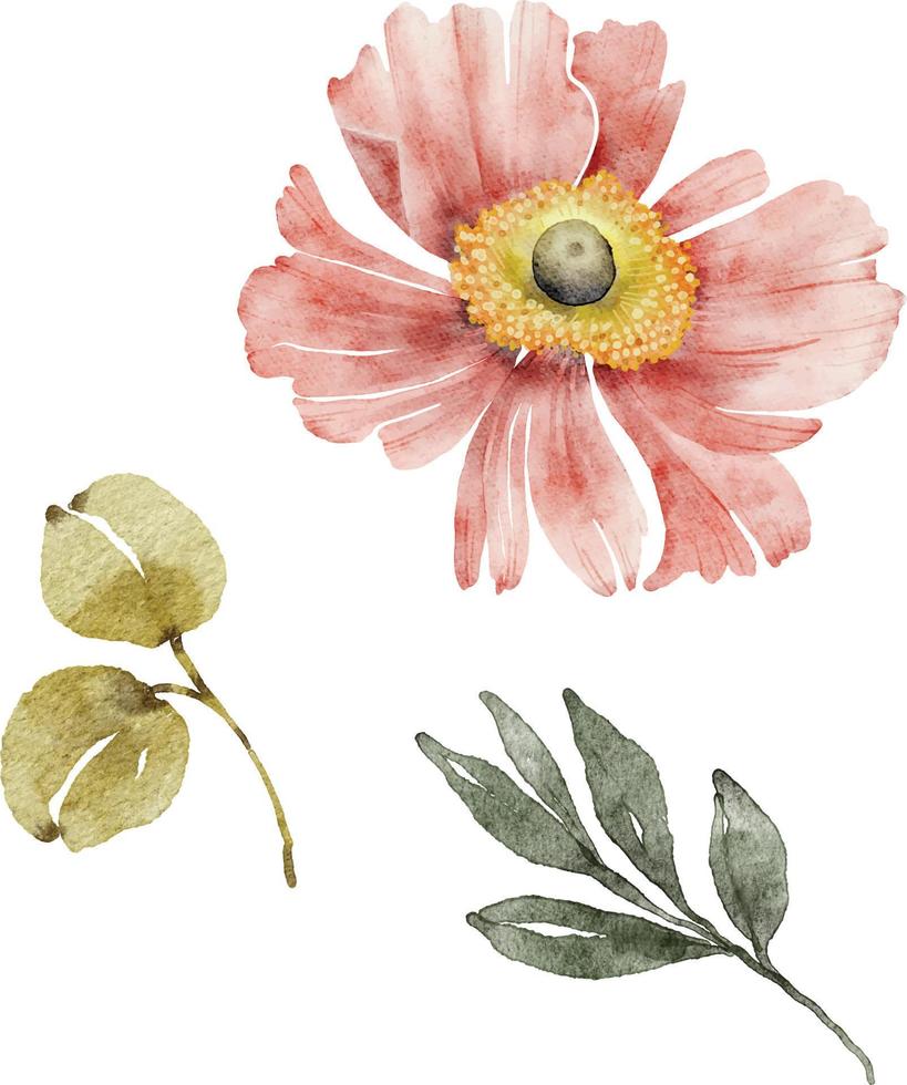 conjunto de ilustraciones de acuarela flor rosa y hojas verdes sobre un fondo blanco. vector