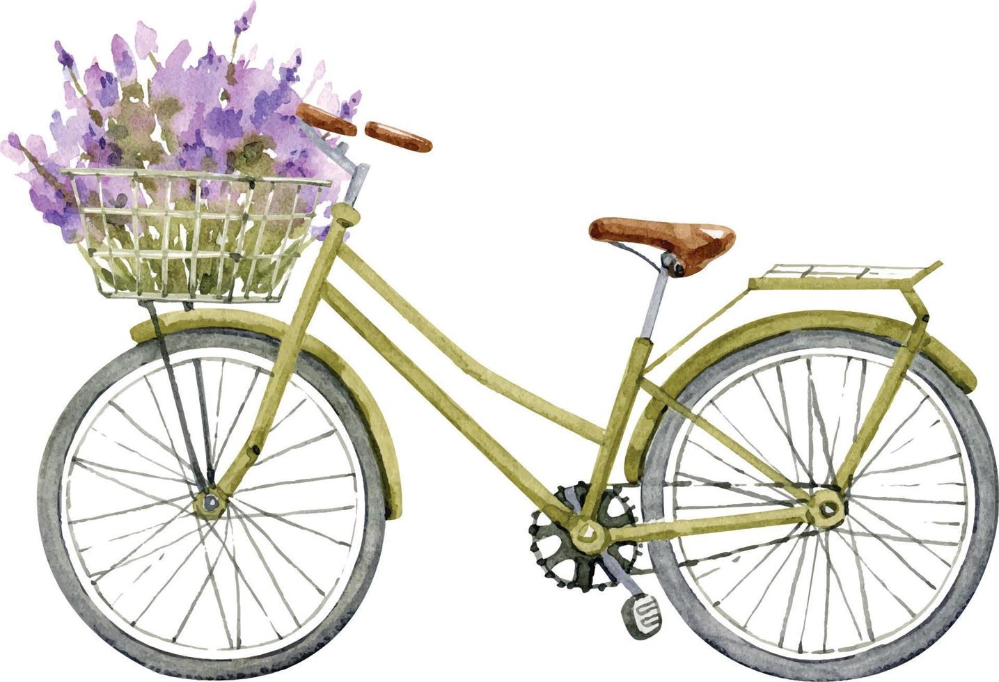 bicycle with a basket of lavender flowers, watercolor illustration. vector