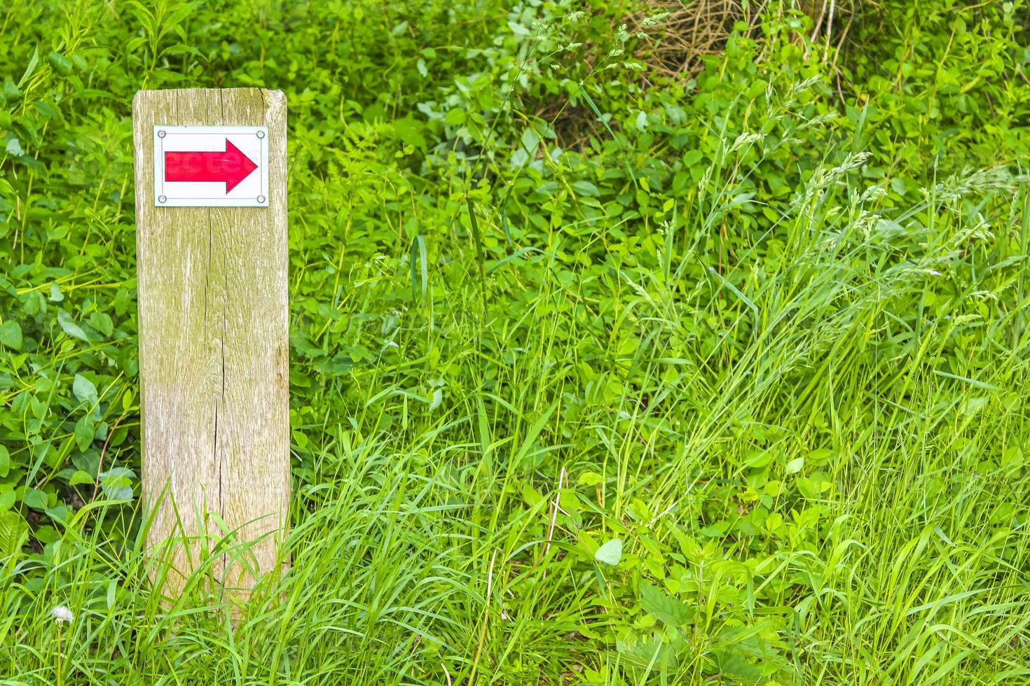 North German red arrow directional sign meadow forest nature Germany. photo