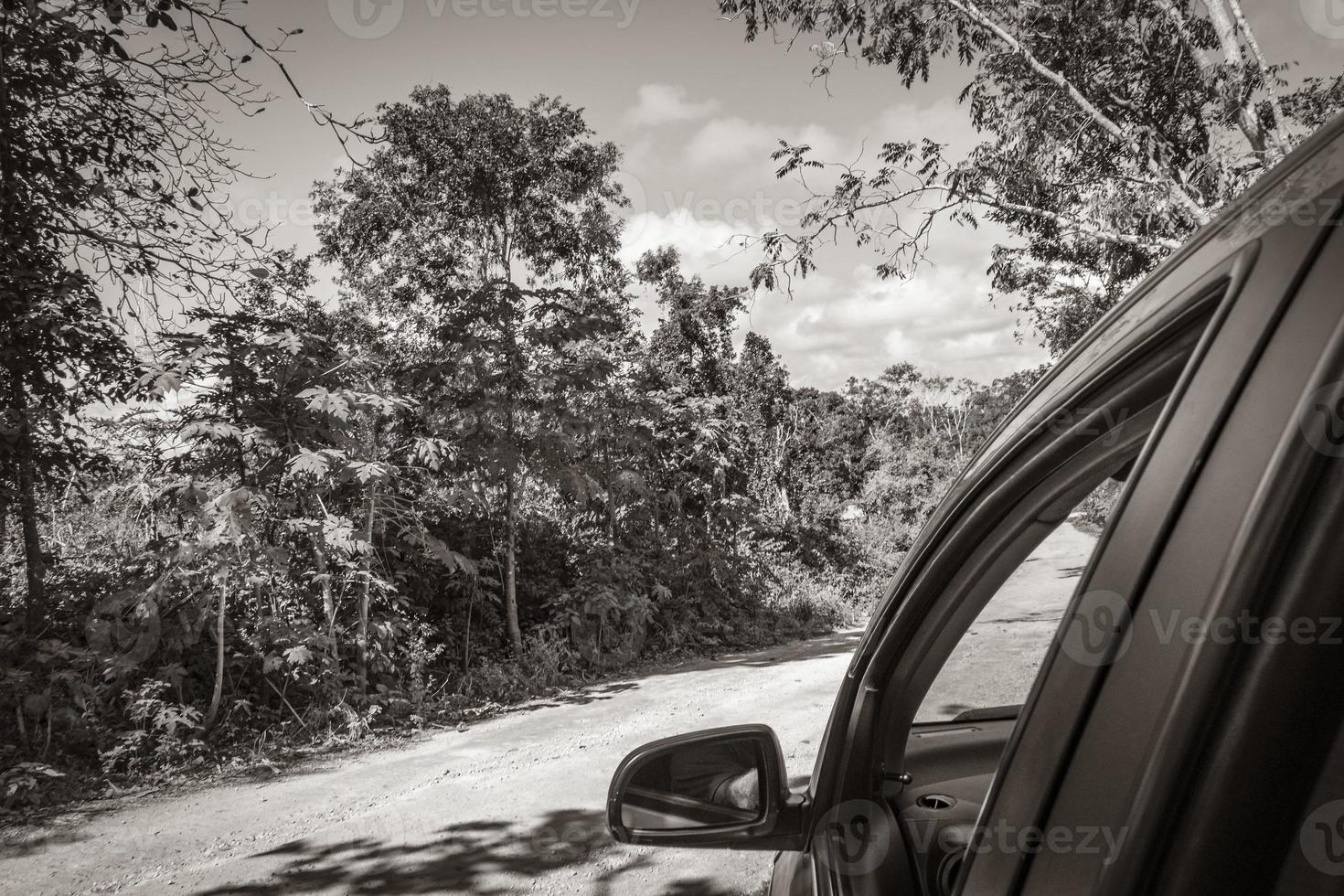 Driving on gravel path road in Tulum jungle nature Mexico. photo