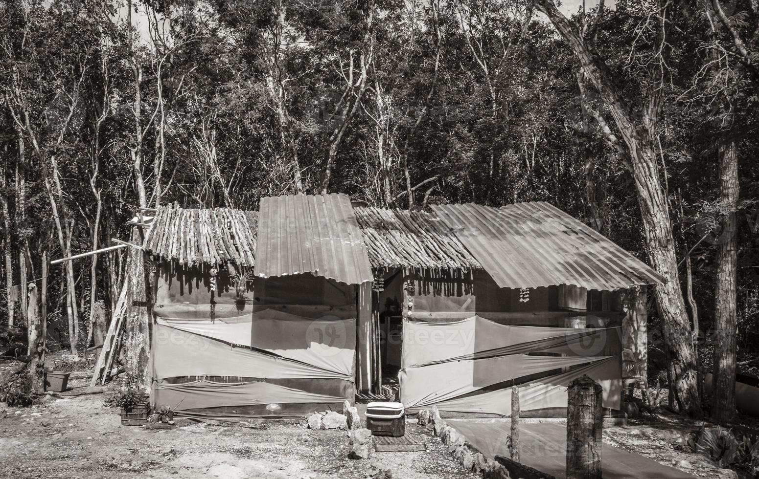Colorful corrugated iron hut in tropical jungle Mexico. photo