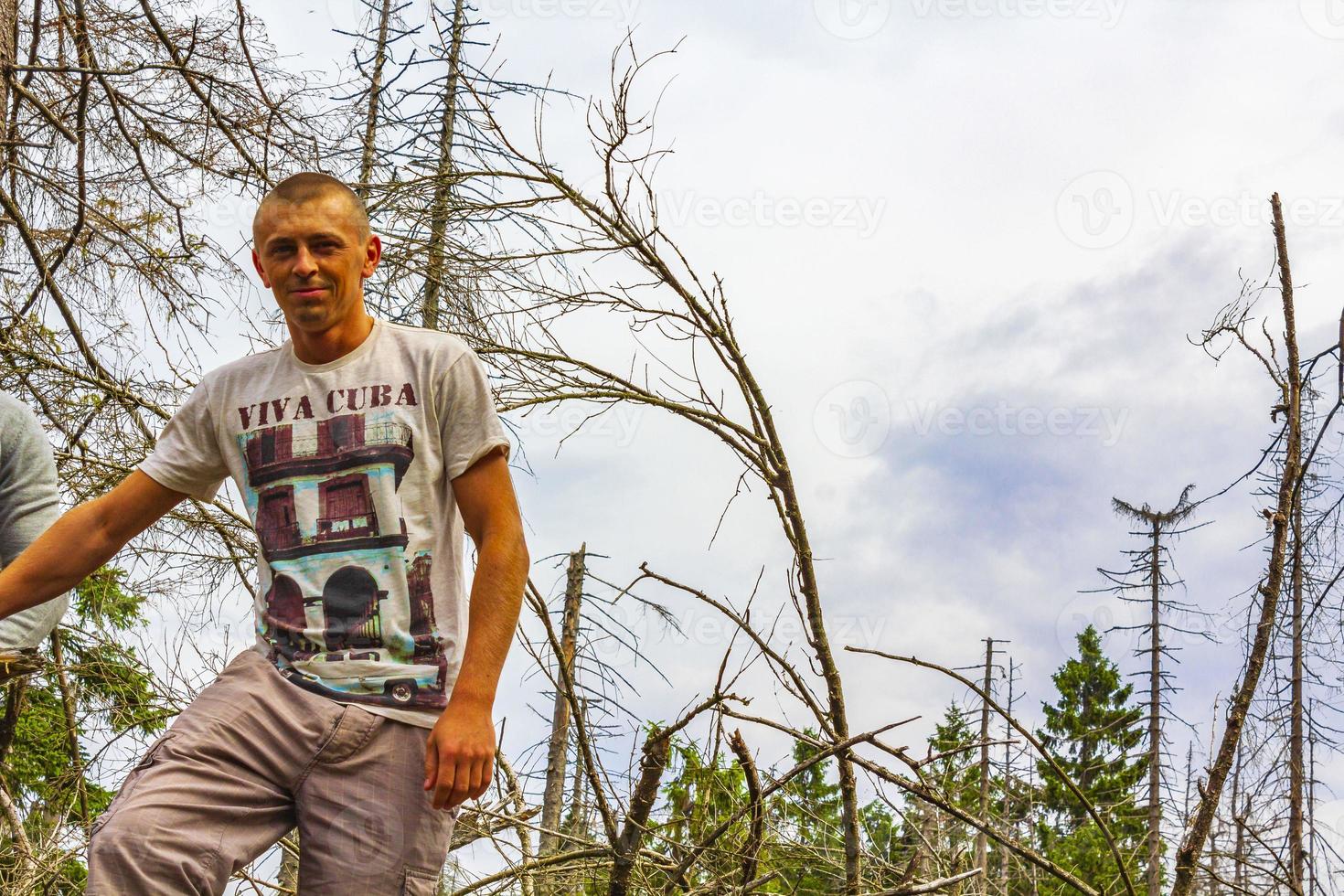 Dying silver forest dead uprooted trees Brocken mountain Harz Germany photo