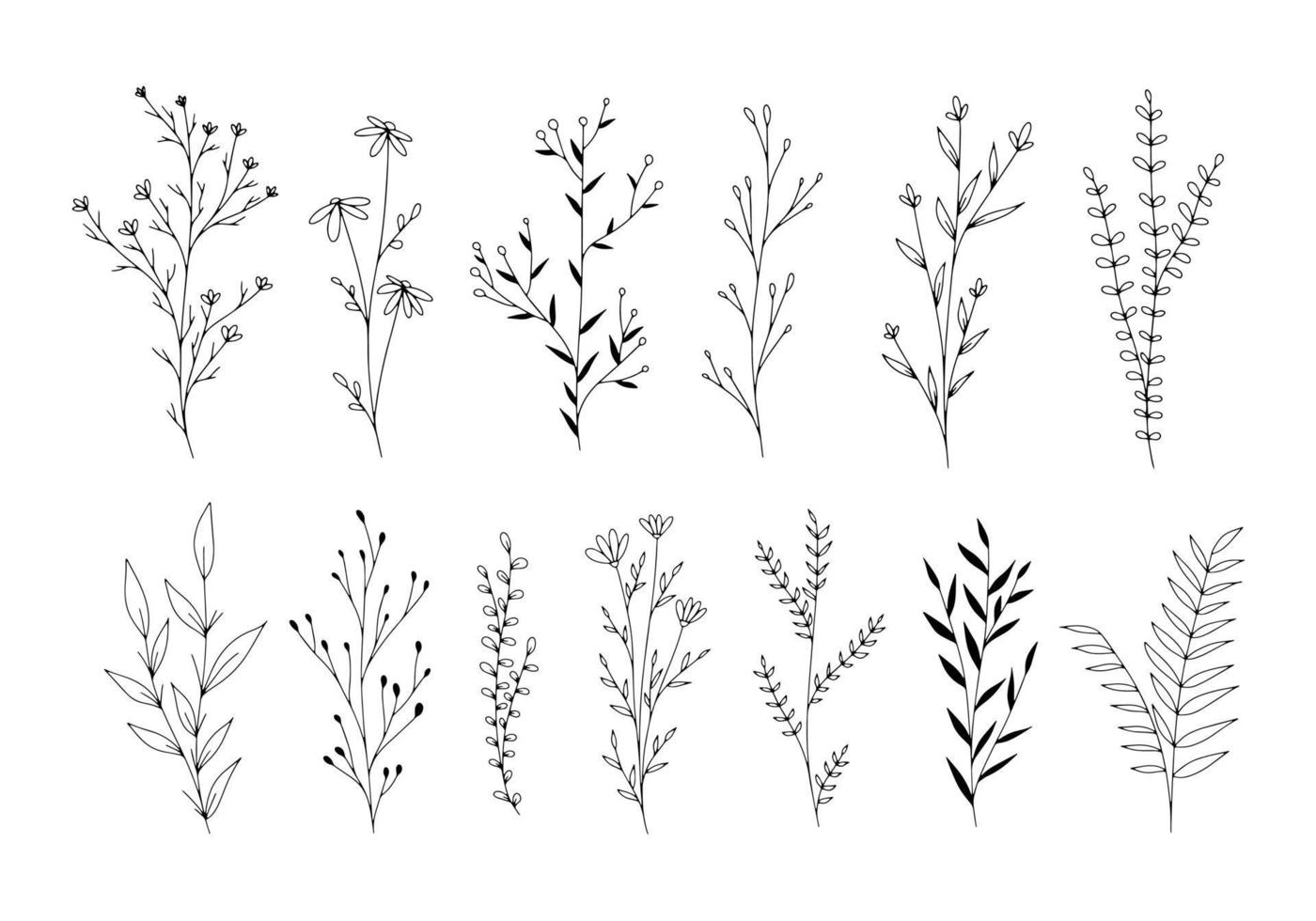 Set of botanical line art floral leaves, plants. Hand drawn sketch branches isolated on white background. Vector illustration