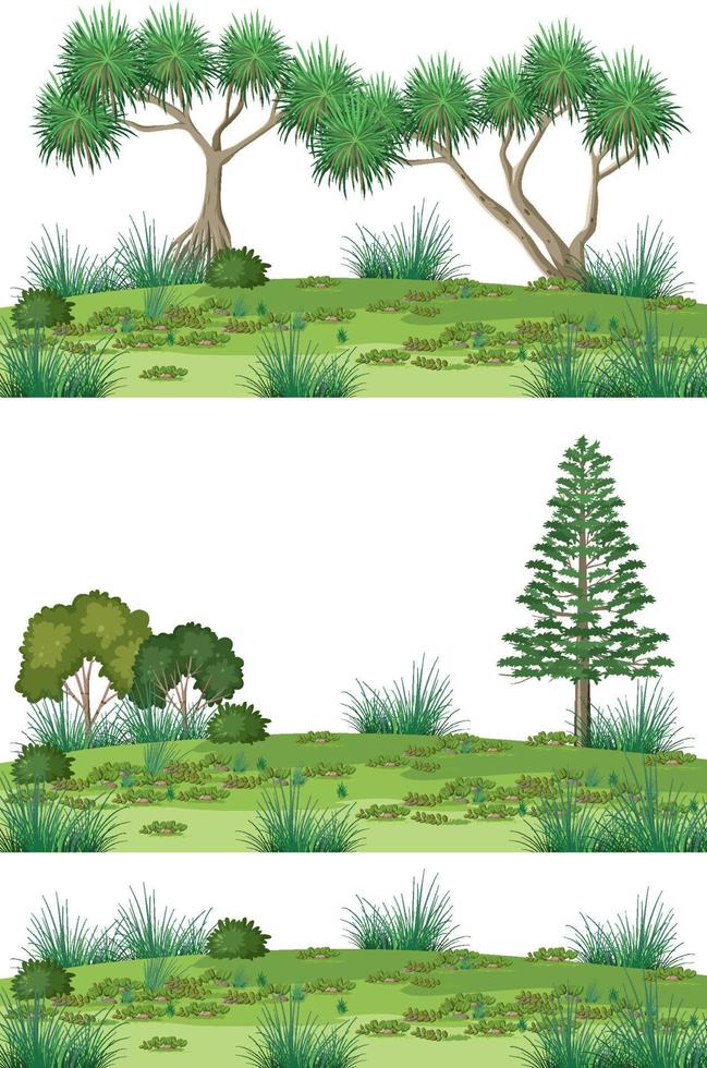 bosques aislados sobre fondo blanco vector