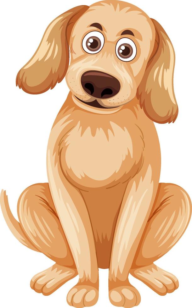 perro golden retriever aislado vector