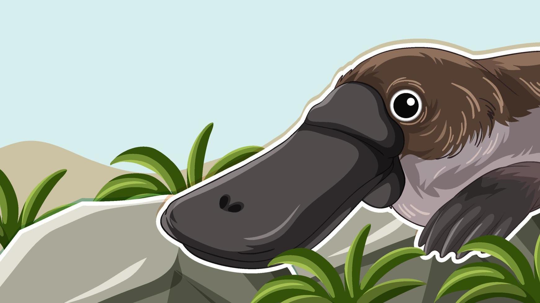 Platypus in nature background vector