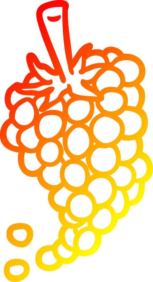 warm gradient line drawing bunch of grapes vector