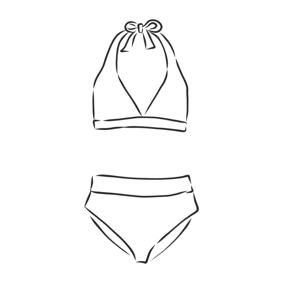swimsuit vector sketch