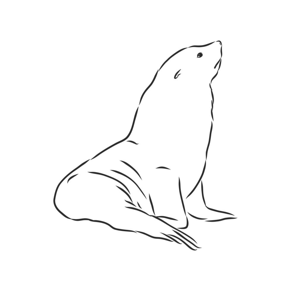 seal vector sketch