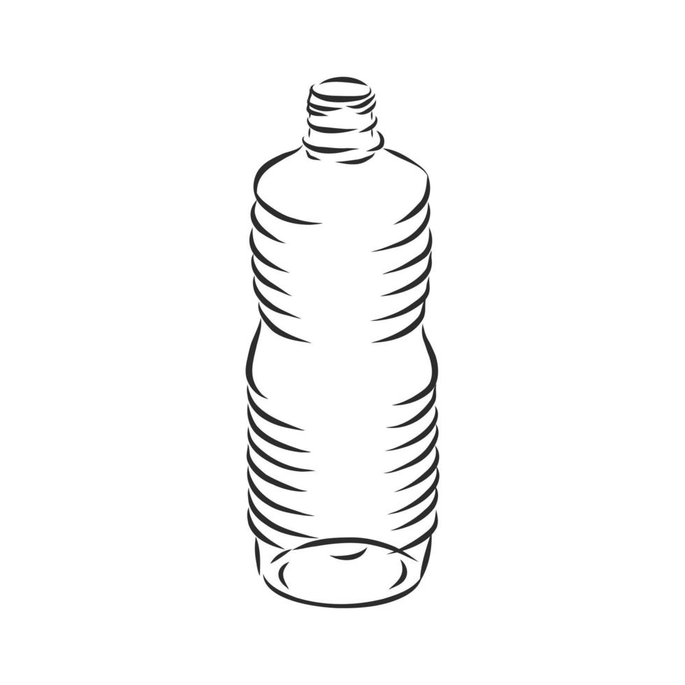 bottle vector sketch