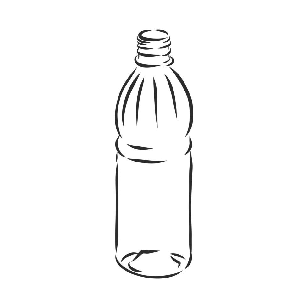 bosquejo del vector de la botella