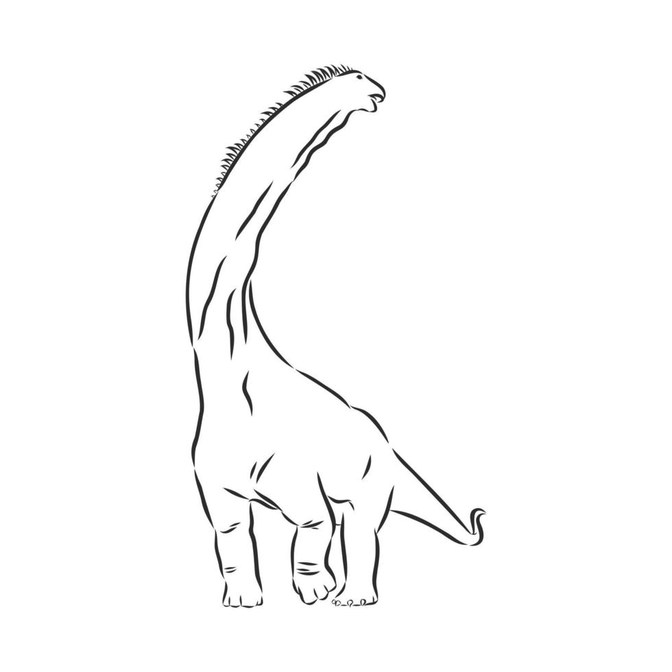 dinosaur vector sketch