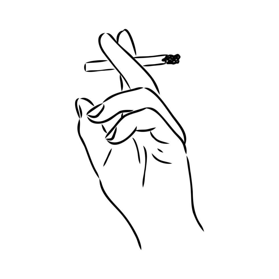 dibujo vectorial de cigarrillo vector