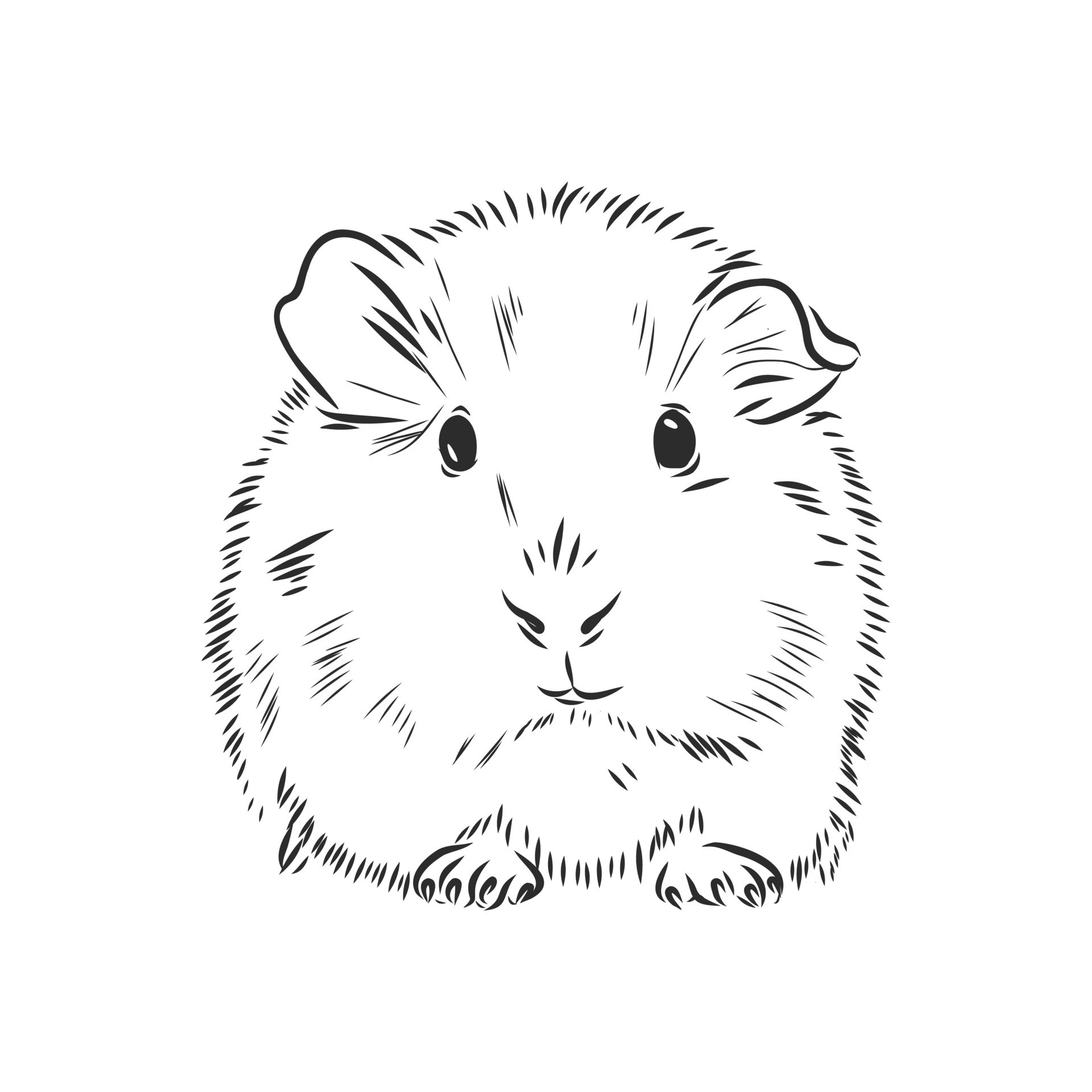 guinea pig vector sketch 8686142 Vector Art at Vecteezy