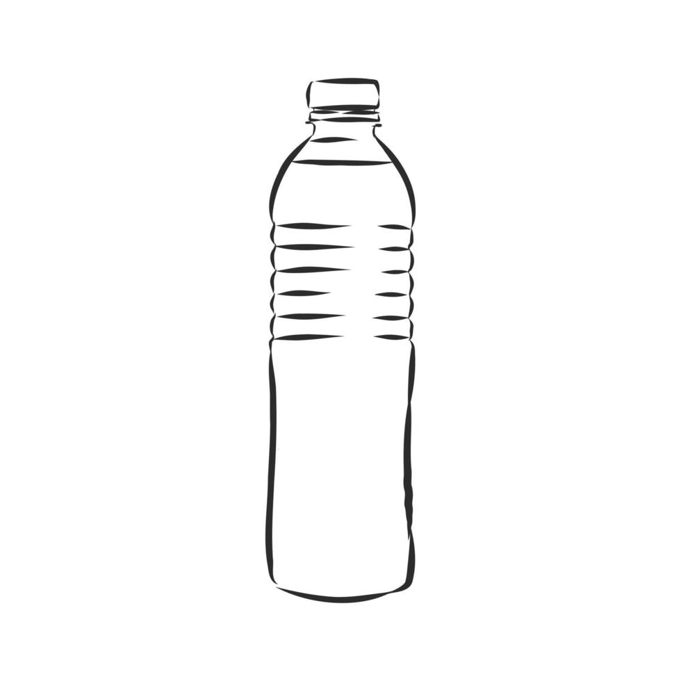 bottle vector sketch