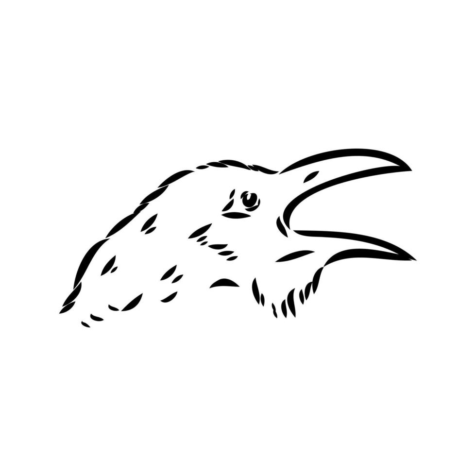 bosquejo del vector del cuervo