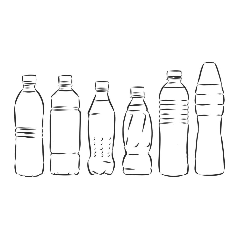 bottle vector sketch