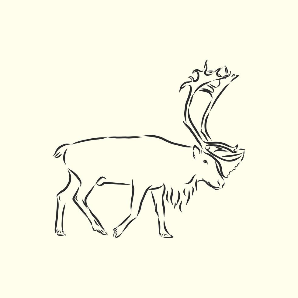 deer vector sketch