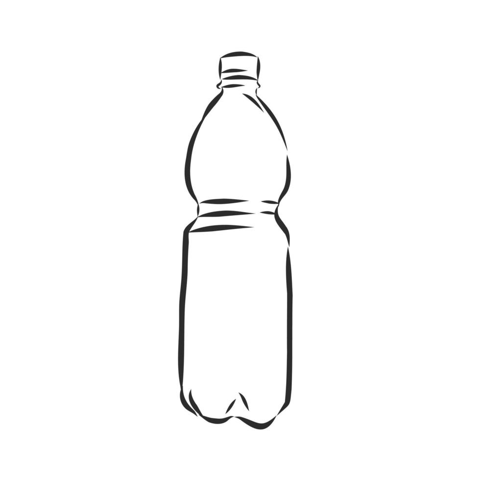 bottle vector sketch