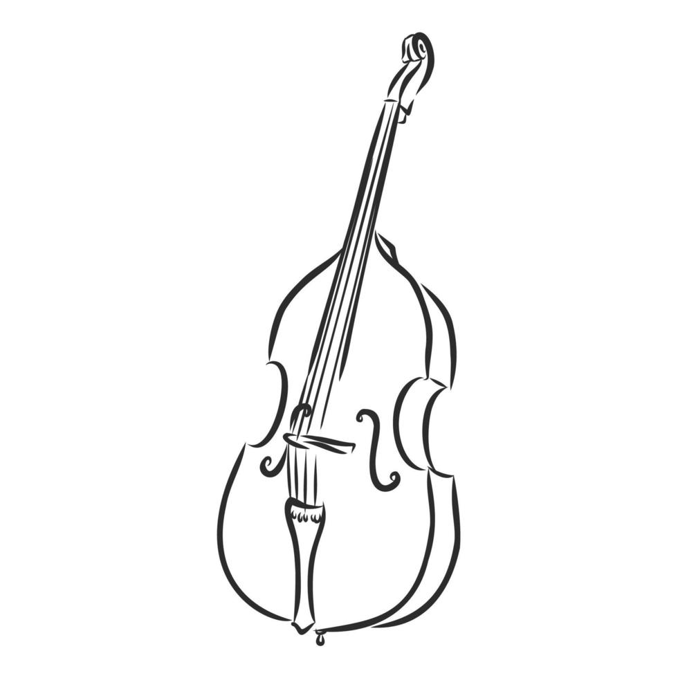 dibujo vectorial de violonchelo vector