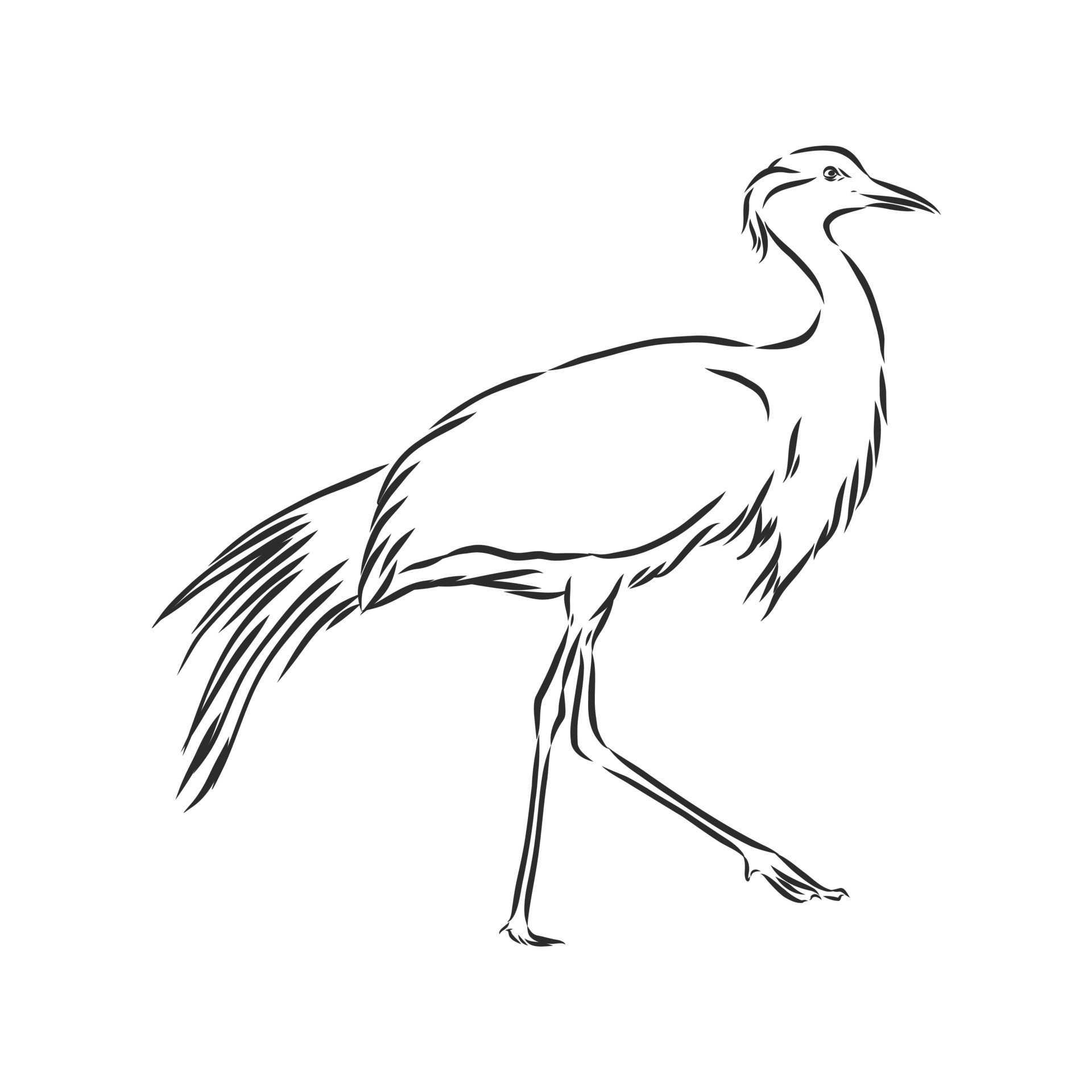 Crane Bird Icon Bird Crane Vector Sketch Illustration Stock Illustration   Illustration of nature craft 184360354