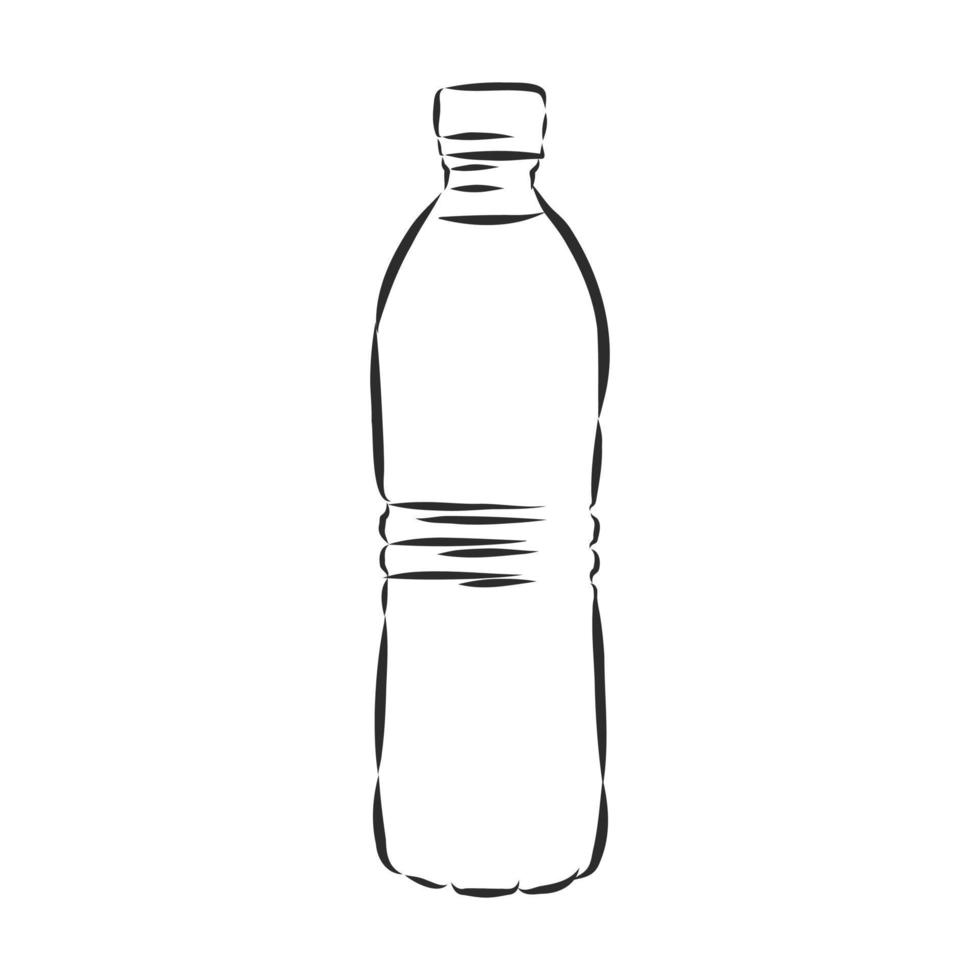 bottle vector sketch