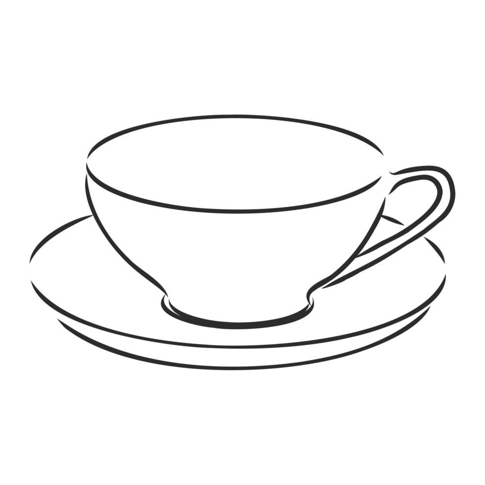 cup vector sketch