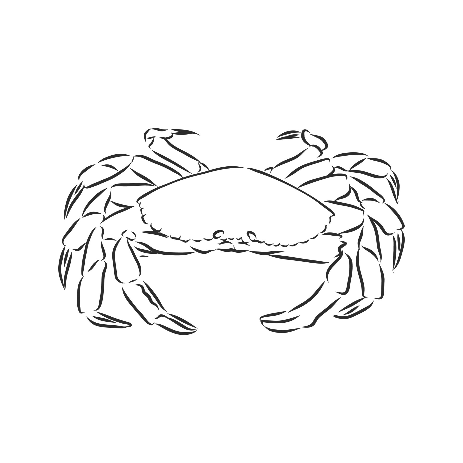 crab vector sketch 8686562 Vector Art at Vecteezy