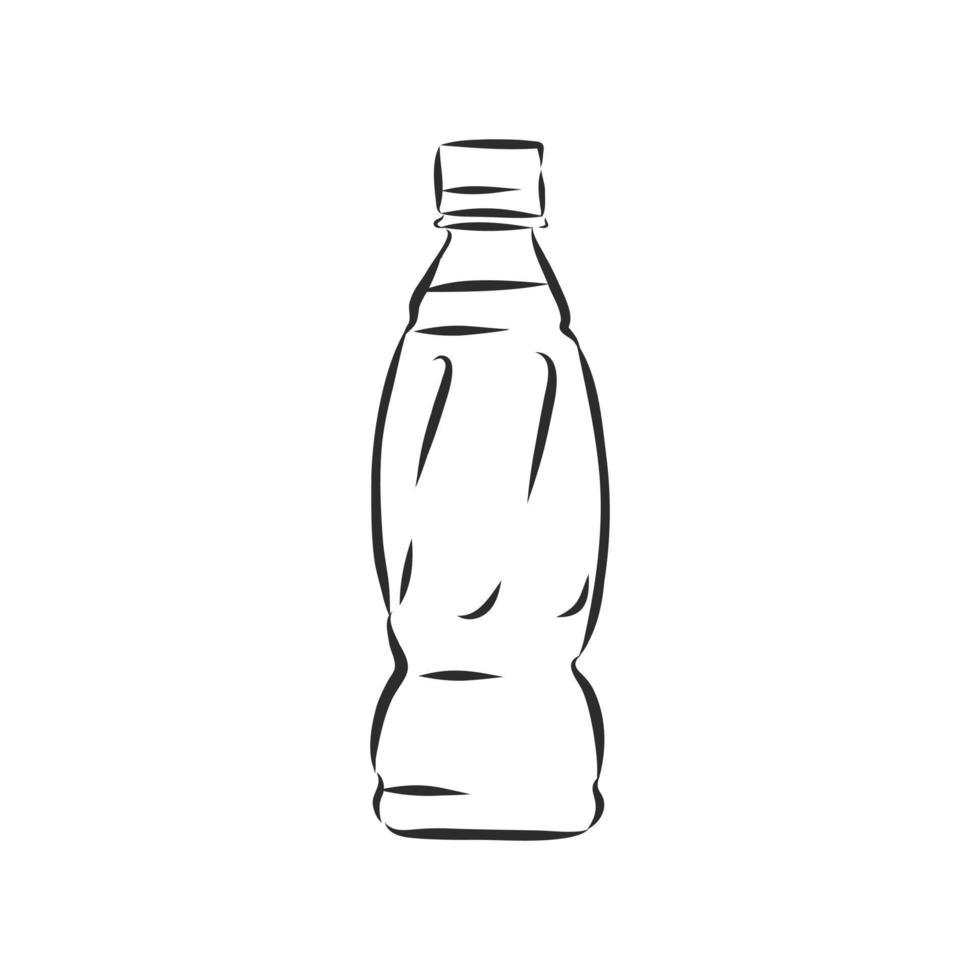 bottle vector sketch