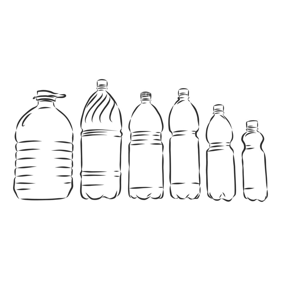 bottle vector sketch