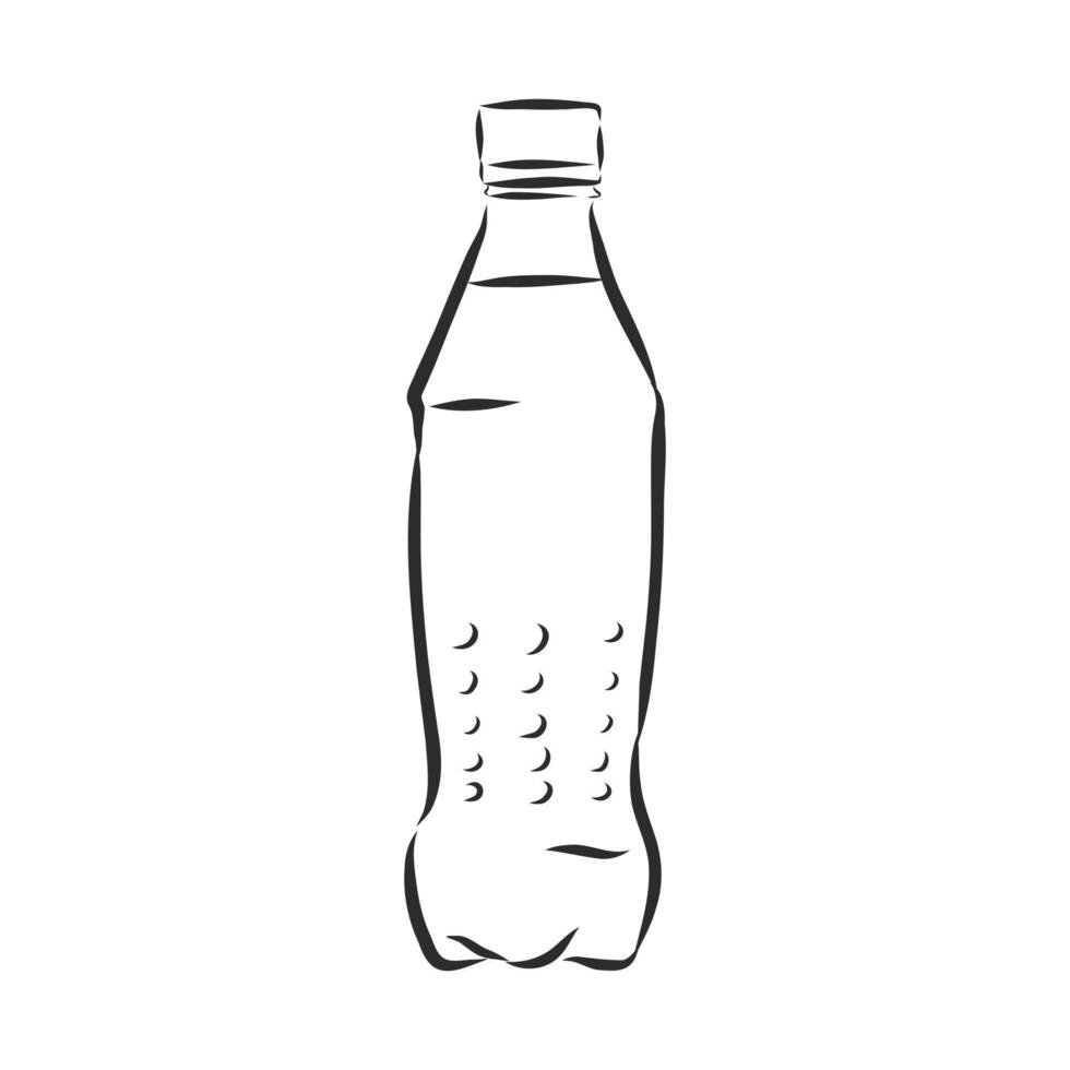 bottle vector sketch