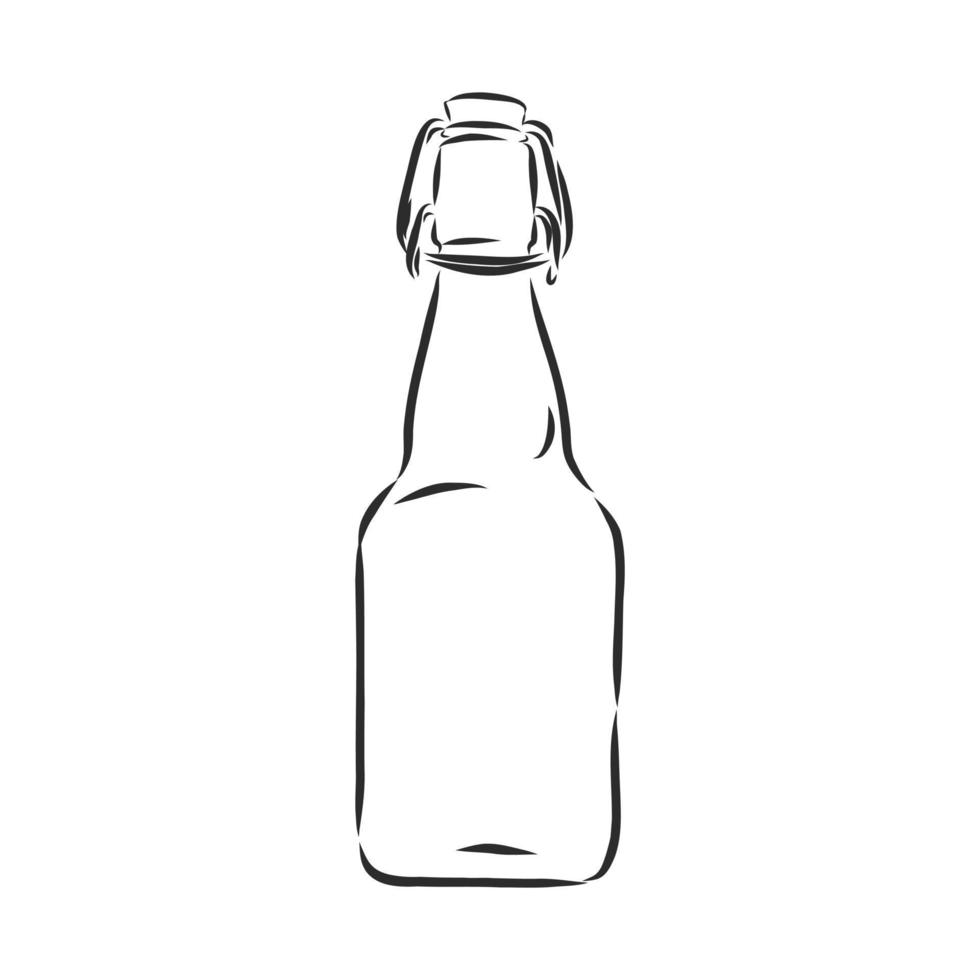bottle vector sketch