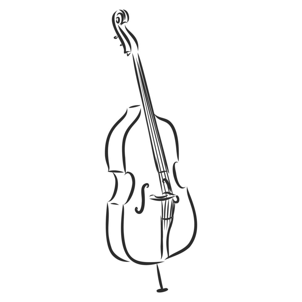 dibujo vectorial de violonchelo vector