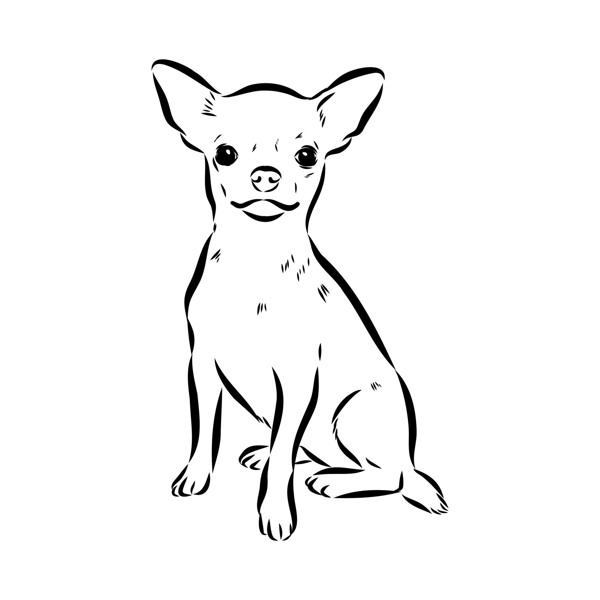 chihuahua vector sketch 8686791 Vector Art at Vecteezy