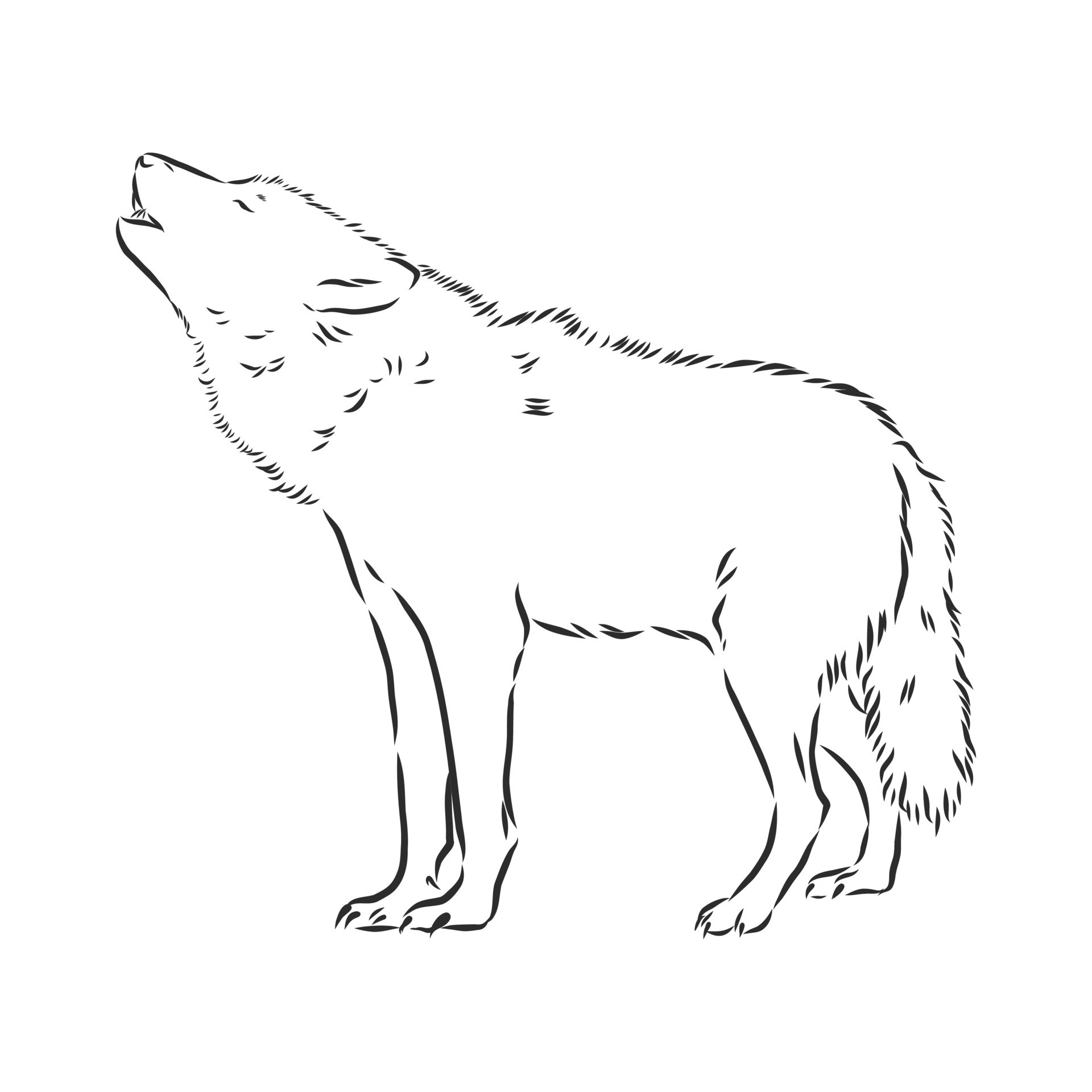 wolf vector sketch 8686862 Vector Art at Vecteezy