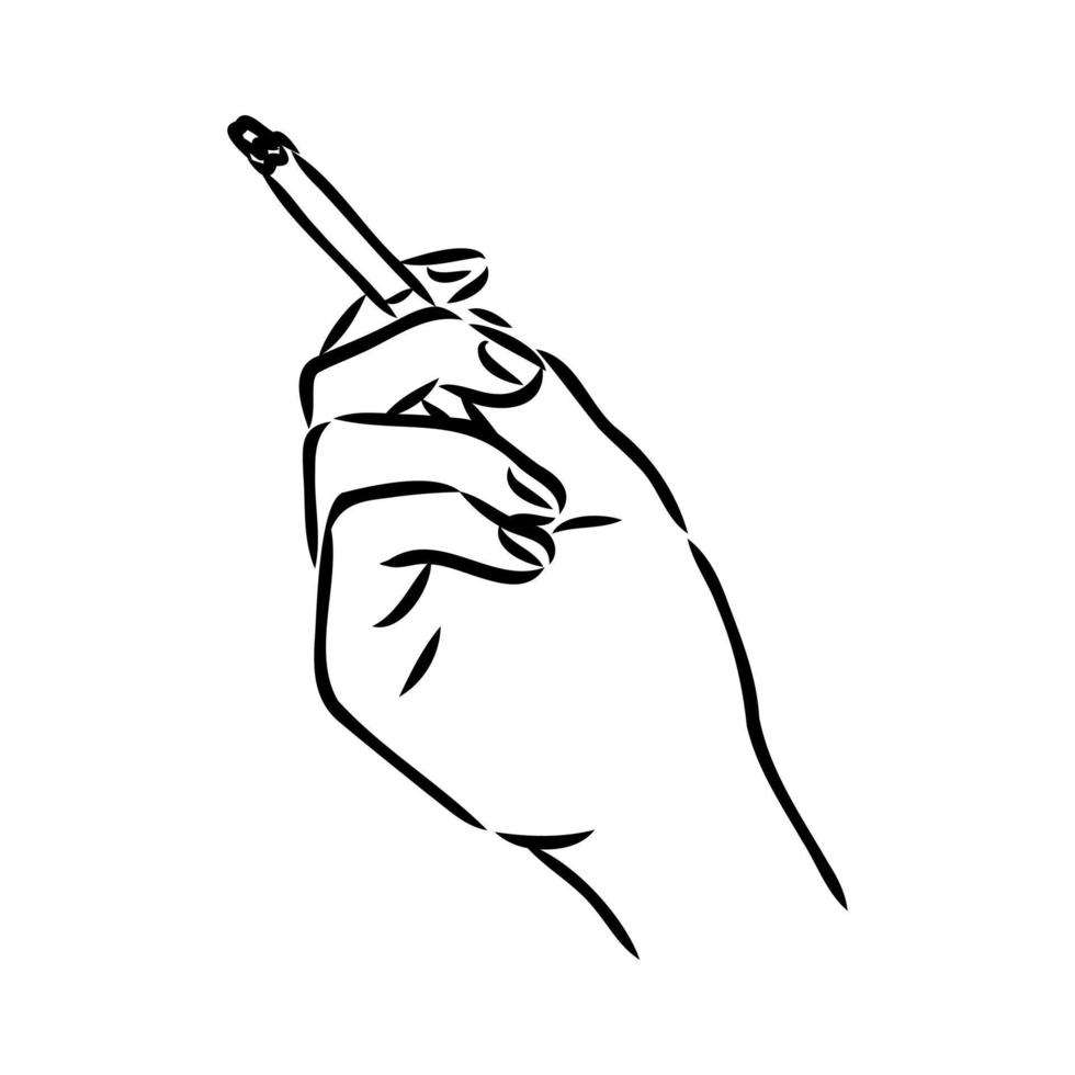 dibujo vectorial de cigarrillo vector