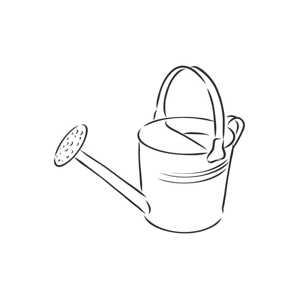 garden watering can vector sketch